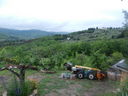 DSCN2732.JPG