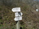 DSCN2742.JPG