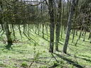 DSCN2755.JPG