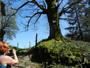 DSCN2758.JPG