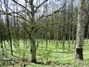 DSCN2759.JPG