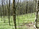 DSCN2763.JPG