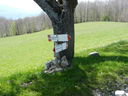 DSCN2766.JPG