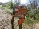 DSCN2785.JPG