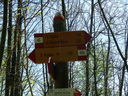 DSCN2814.JPG