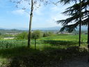 DSCN2817.JPG