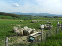 DSCN2828.JPG