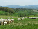 DSCN2833.JPG