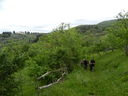 DSCN2893.JPG