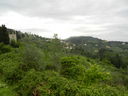 DSCN2899.JPG