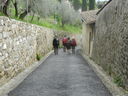 DSCN2917.JPG