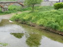 DSCN2928.JPG