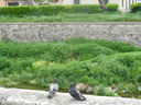 DSCN2930.JPG