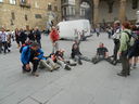 DSCN2950.JPG