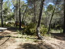 DSCN2995.JPG