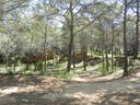 DSCN2999.JPG