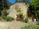DSCN3005.JPG