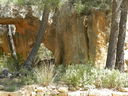 DSCN3027.JPG