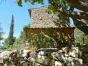 DSCN3028.JPG