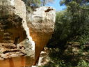 DSCN3036.JPG
