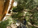 DSCN3040.JPG