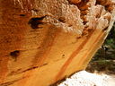 DSCN3043.JPG