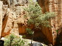 DSCN3046.JPG