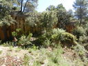 DSCN3050.JPG
