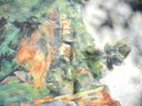 DSCN3062.JPG