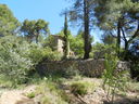 DSCN3064.JPG