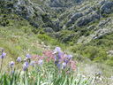 DSCN3070.JPG