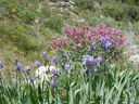 DSCN3071.JPG