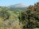 DSCN3084.JPG