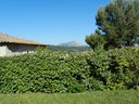 DSCN3089.JPG