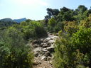 DSCN3091.JPG