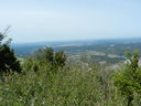 DSCN3138.JPG