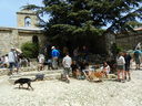 DSCN3154.JPG