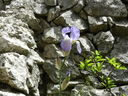 DSCN3158.JPG
