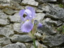 DSCN3159.JPG