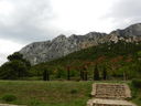 DSCN3196.JPG