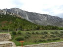 DSCN3197.JPG