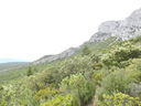 DSCN3236.JPG