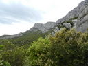 DSCN3252.JPG