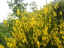 DSCN3253.JPG