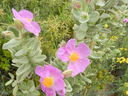 DSCN3260.JPG