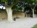 DSCN3321.JPG