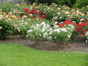 DSCN3324.JPG
