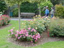 DSCN3325.JPG
