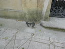 DSCN3376.JPG