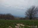 DSCN4655.JPG